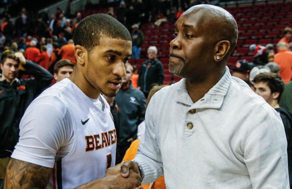 己的技术 己的技术